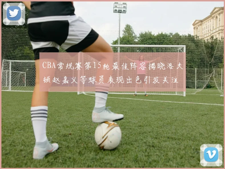 CBA常规赛第15轮最佳阵容揭晓洛夫顿赵嘉义等球员表现出色引发关注