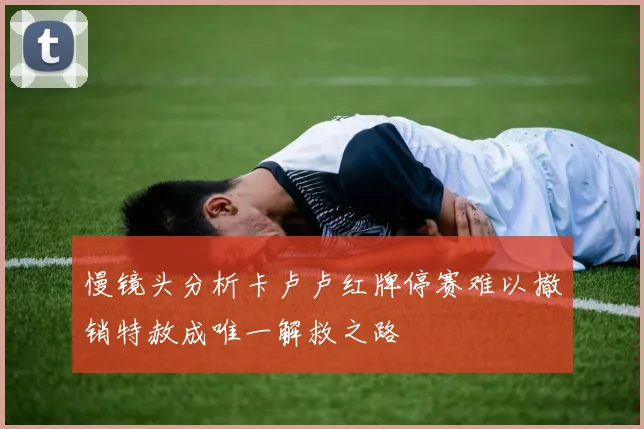 慢镜头分析卡卢卢红牌停赛难以撤销特赦成唯一解救之路