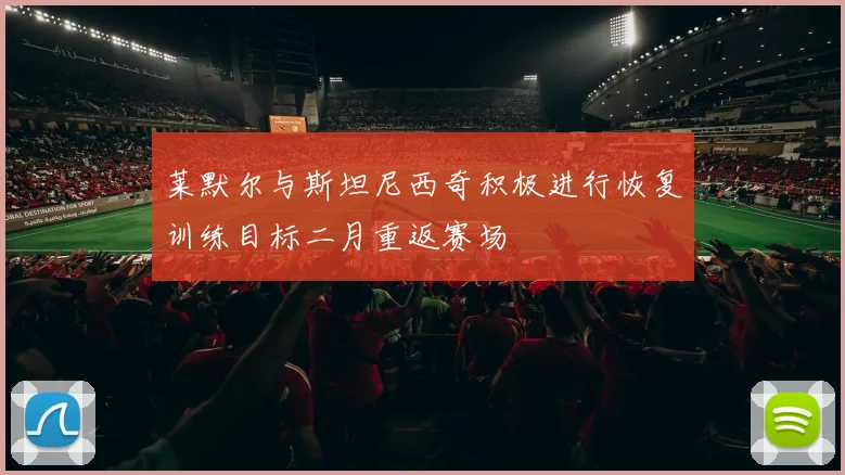 莱默尔与斯坦尼西奇积极进行恢复训练目标二月重返赛场