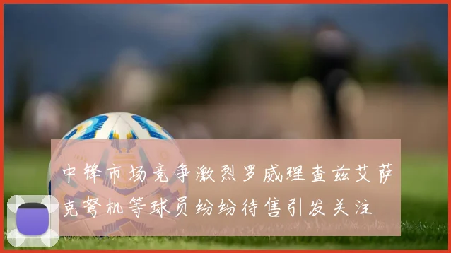 中锋市场竞争激烈罗威理查兹艾萨克弩机等球员纷纷待售引发关注